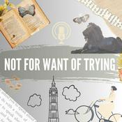 Not for Want of Trying