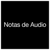 Notas de Audio