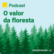 O valor da floresta