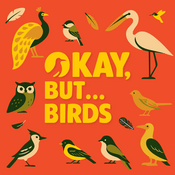 Okay, But... Birds