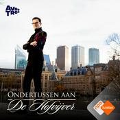 Ondertussen aan de Hofvijver