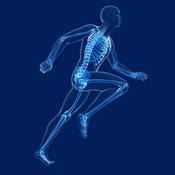 Ortopedia para Dummies