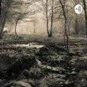 Peliculas antiguas de terror