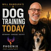 Will Bangura's Dog Training Today