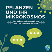 Pflanzen und ihr Mikrokosmos