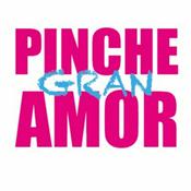 PINCHE GRAN AMOR