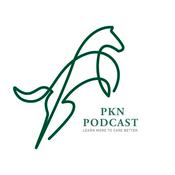 PKN Podcast