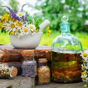 Plantas Medicinales