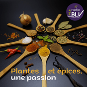 Plantes Et Épices