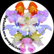 Plants are People too: Botany Podcast