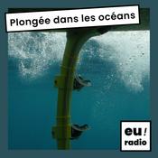 Plongée dans les océans