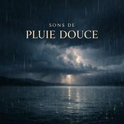 Gentle Rain: Soft Rain Sounds