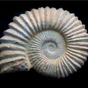 Pó de Cast - Cultura e Património