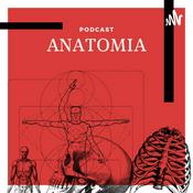 POD ANATOMIA