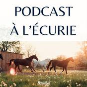 Podcast à l'écurie