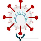 Podcast Mario Alonso RS