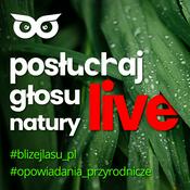 Posłuchaj głosu natury live z BlizejLasu.pl