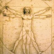 PRINCIPALES OBRAS DE LEONARDO DA VINCI.