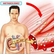 Principios Básicos de Anatomía y Fisiología