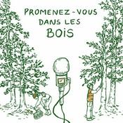 Promenez-vous dans les bois