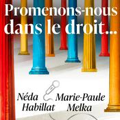 Promenons-nous dans le droit...