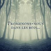 Promenons-nous dans les bois