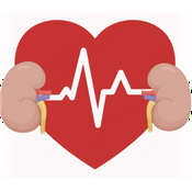 Pump the nephron