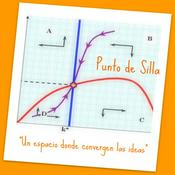 Punto de Silla