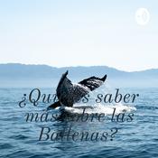 ¿Quieres saber más sobre las Ballenas?