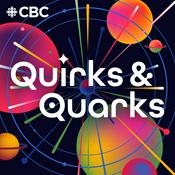 Quirks and Quarks