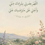 Quran Reflections