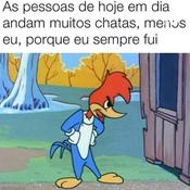 Rádio Flex