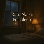 Rain Noise For Sleep Relaxation & Focus