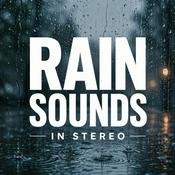 Rain Sounds in Stereo: Immersive Rainfall Ambience for Sleep, Relaxation, Meditation, and Stress Relief