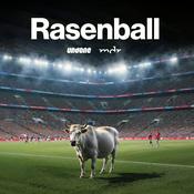 Rasenball: Red Bull und der moderne Fußball