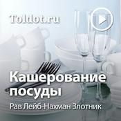 Рав Лейб-Нахман Злотник  — Кашерование посуды