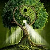 Being Community Radio