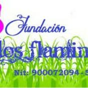 Reflexiones De Un Cuidador.