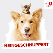 Reingeschnuppert