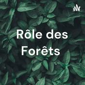 Rôle des Forêts