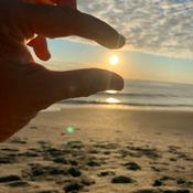 Rosario Para Los Apurados