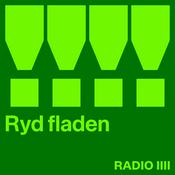 Ryd fladen