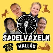 Sadelväxeln, Hallå!