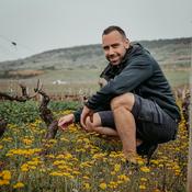 Sandro's WSET LEVEL 4 Diploma Learning Journey