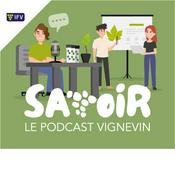 Savoir le podcast Vignevin