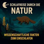 Einschlafen mit Natur