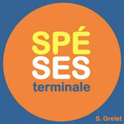 Spé SES terminale : un cours complet