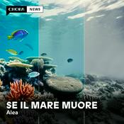 Se il mare muore
