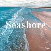 Seashore