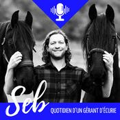 Seb, quotidien d'un gérant d'écurie
